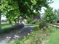 Eglantyne, chambre d'h�tes taponas beaujolais