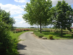 Eglantyne, chambre d'h�tes